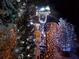 Nejzářivější dům letošních Vánoc, foto: Agentura Dobrý den
