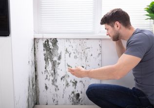 Boj s plísněmi v bytě! Jak se jich zbavit a předejít jejich návratu?