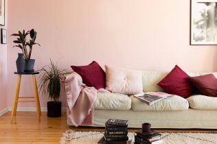 Dnešní doba si více než jindy žádá zdravé a antibakteriální interiérové barvy