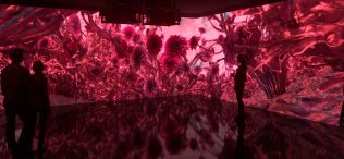 Hledáte inspiraci pro váš interiér? Zaměřte se na barvu roku 2023 Viva Magenta!