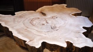 Inspirace: použití dřeva starých stromů v interiéru