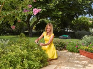 Jak bojovat s letními suchy a udržet trávník zdravý?