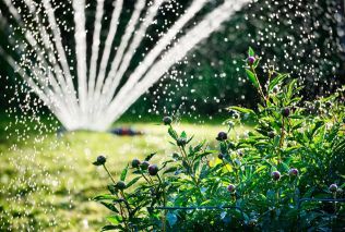 Jak se na zahradě vyrovnat se suchem?