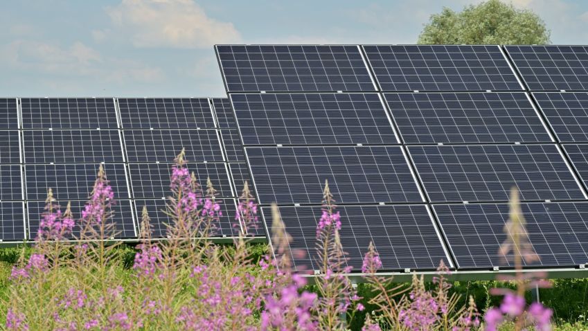 Jak správně vybrat dodavatele fotovoltaiky a nenaletět podvodníkům?