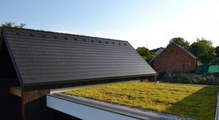 Množství zelených střech roste