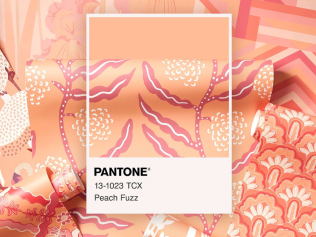 Nejen interiérům bude v roce 2024 vévodit barva s lákavým názvem Peach Fuzz