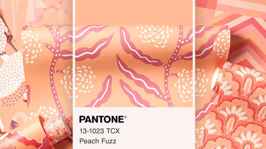 Nejen interiérům bude v roce 2024 vévodit barva s lákavým názvem Peach Fuzz