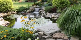 Okrasná zahrada by měla mít vodní prvek, založte si zahradní jezírko