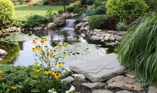 Okrasná zahrada by měla mít vodní prvek, založte si zahradní jezírko