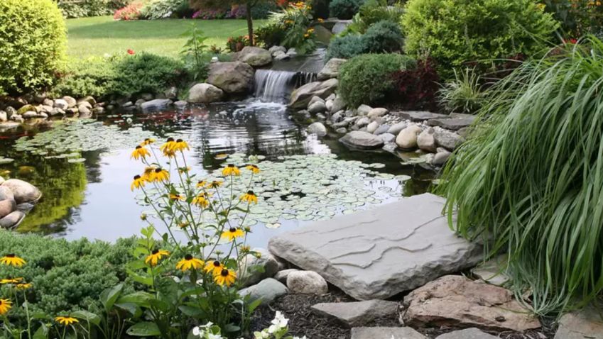 Okrasná zahrada by měla mít vodní prvek, založte si zahradní jezírko