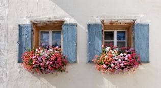 Ozdobte si parapety a balkony. Jaké rostlinky jsou vhodné?