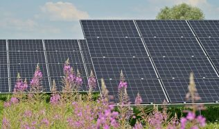 Podvodníci ve světě fotovoltaiky: Jak se bránit před nekalými praktikami