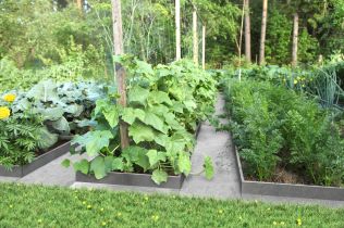 Poradíme vám, jak si vytvořit praktický záhonový chodník