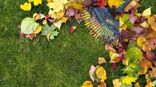 Poradíme vám, jak využít spadané listí 