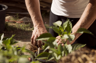 Přemkovy rychlé rady pro zahrady - Poslední šance připravit zahradu na zimu, nezapomeňte na hnojiva