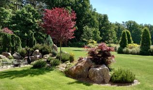 Zahrada v dubnu: připravte zahradu na nadcházející sezónu a pořiďte si nové rostlinky nebo vzrostlé stromy