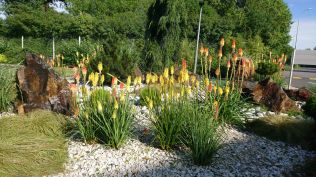 Stavba není sen - Rekonstrukce bytu - Stavba není sen 2: Jak vytvořit zeleň na balkoně či terase?