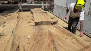 Téma: dřevo starých stromů