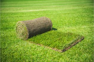 Přemkovy rychlé rady pro zahrady - Travní koberec vám pomůže k rychlému ozelenění vaší zahrady 