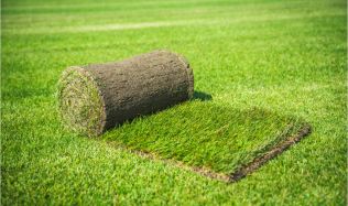 Přemkovy rychlé rady pro zahrady - Travní koberec vám pomůže k rychlému ozelenění vaší zahrady 