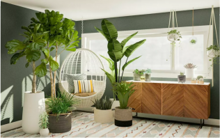 Umělé rostliny nové generace pomohou oživit váš interiér