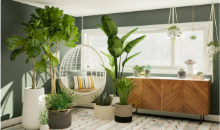 Umělé rostliny nové generace pomohou oživit váš interiér