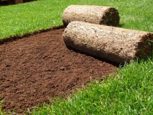 Přemkovy rychlé rady pro zahrady - Uvažujete o rychlém ozelenění vaší zahrady? Položte si travní koberec