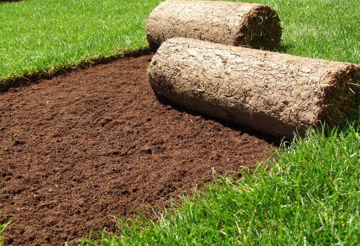 Uvažujete o rychlém ozelenění vaší zahrady? Položte si travní koberec