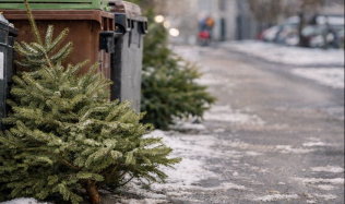 Vánoce končí, co se stromkem? Tipy na správnou likvidaci