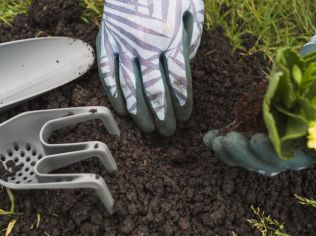 Vybíráte kompostér na zahradu, máme pro vás několik rad