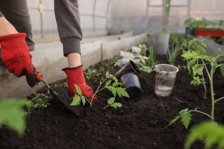 Přemkovy rychlé rady pro zahrady - Zahrada v dubnu: Jakými pracemi začít?