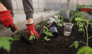 Přemkovy rychlé rady pro zahrady - Zahrada v dubnu: Jakými pracemi začít?