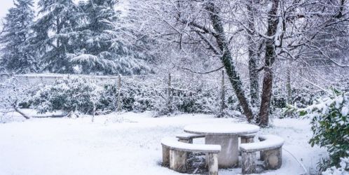 Zahrada v prosinci! Sníh může poskytnout i určité výhody, víte jaké?