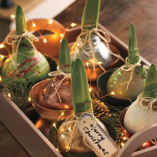  Živé dekorace rozjasní každé Vánoce